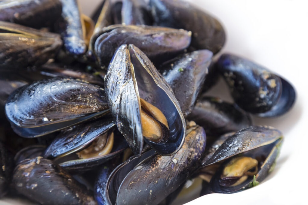 Midiile europene sunt sufocate de nanoplastice