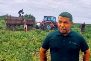 pepeni-lubenita-lovrin-g4food