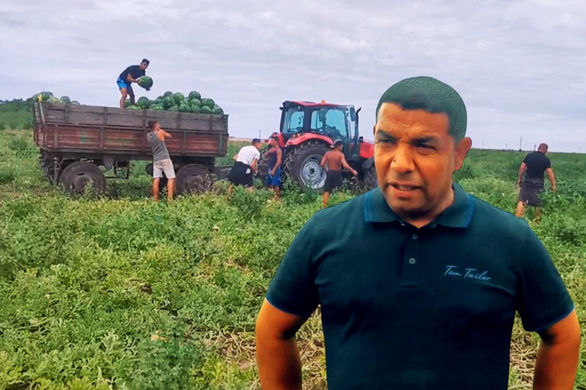 pepeni-lubenita-lovrin-g4food