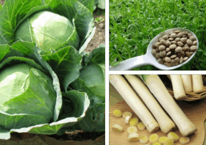 Varza. lintea și prazul - alimente tradiționale