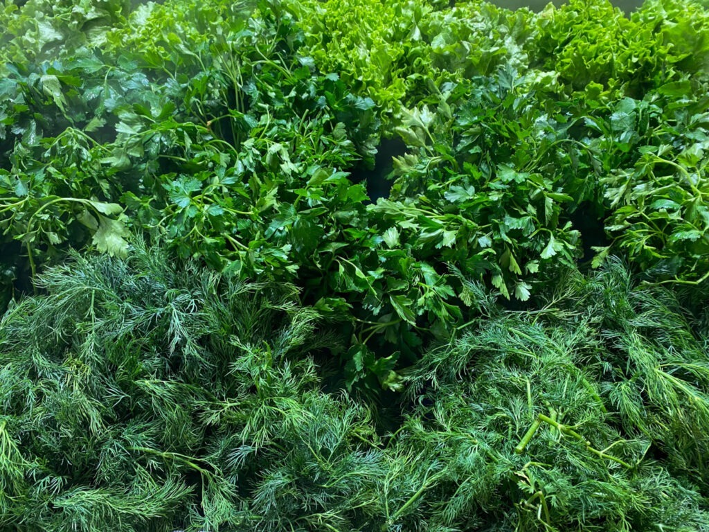 Cum să prelungești durata de viață a plantelor aromatice