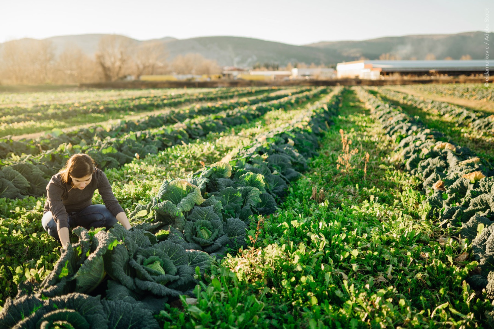 Parlamentul European și-a precizat poziția