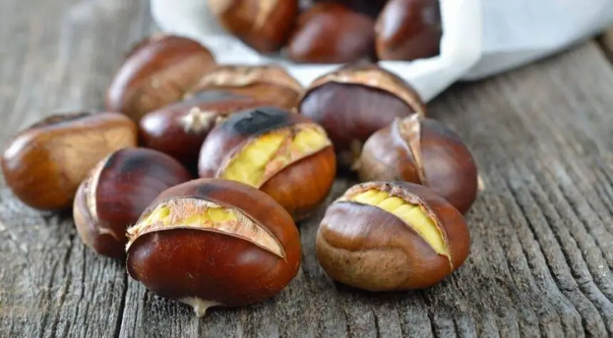 festivalul castanelor