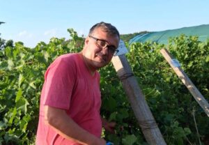 Sergiu Gorjan ne învață când să culegem via