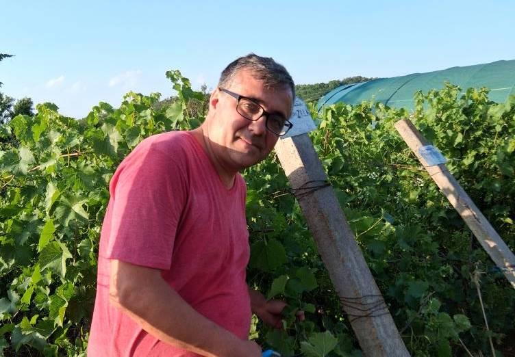 Sergiu Gorjan ne învață când să culegem via