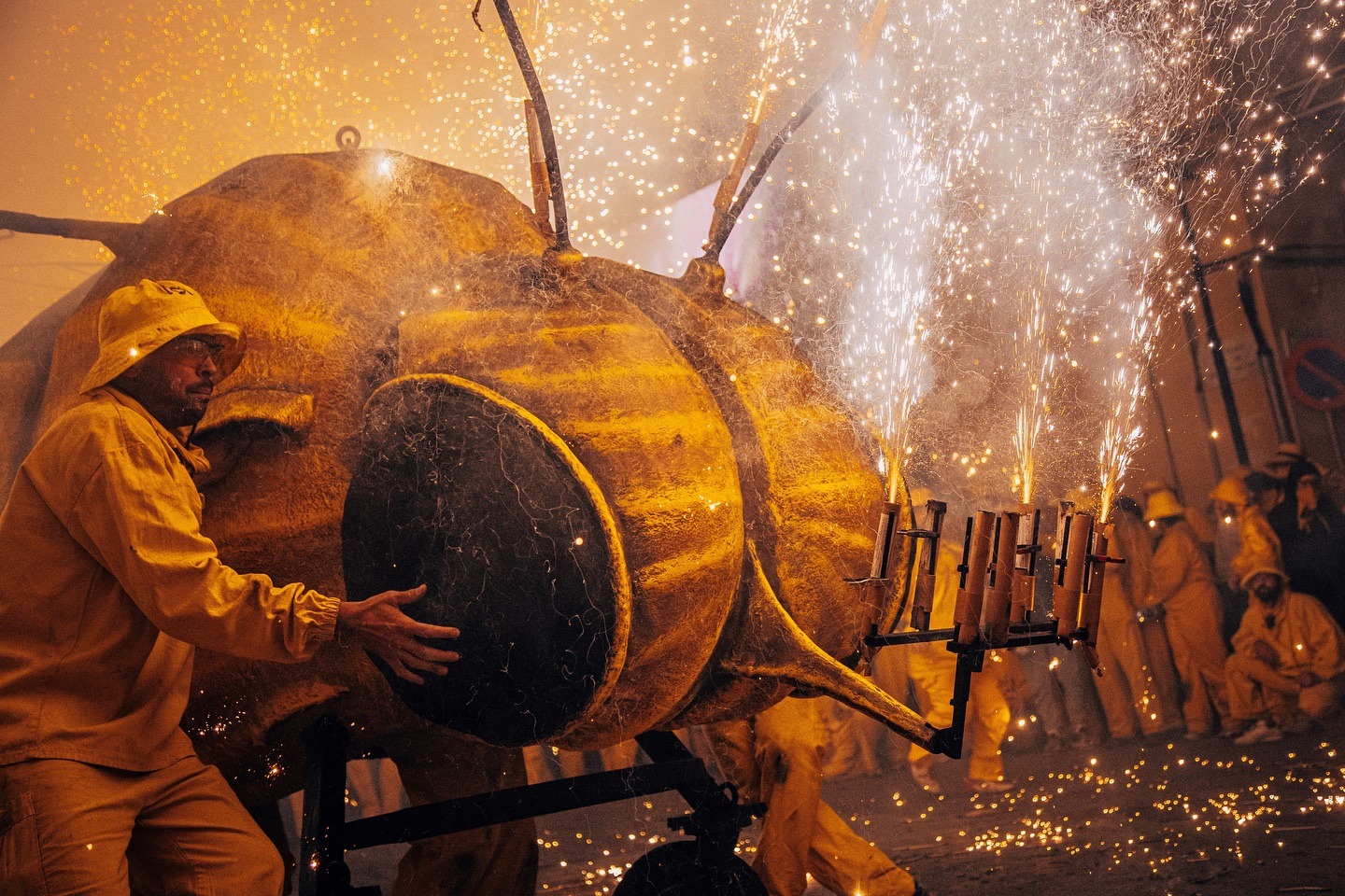 sarbatoarea filoxerei