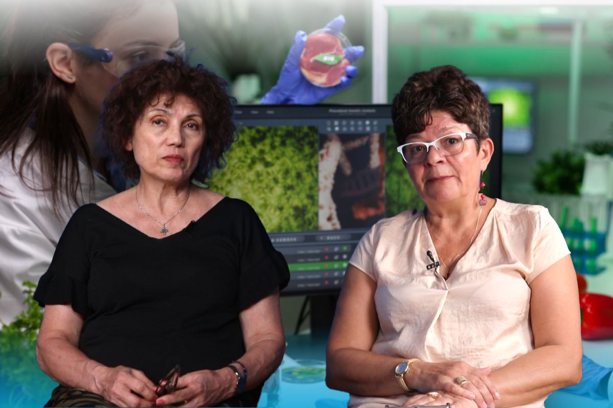 Carmen Botez director executiv AIPROM