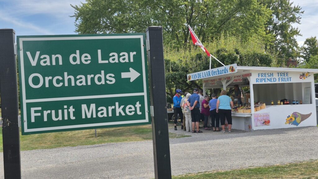 Fructe de vanzare la ferma