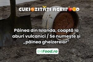 paine vulcanica curizitati agrifood