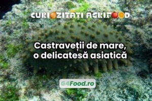 castravete de mare curiozitati agrifood