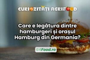 hamburgerii-s-au-nascut-la-hamburg-sau-nu-de-unde-le-vine-numele