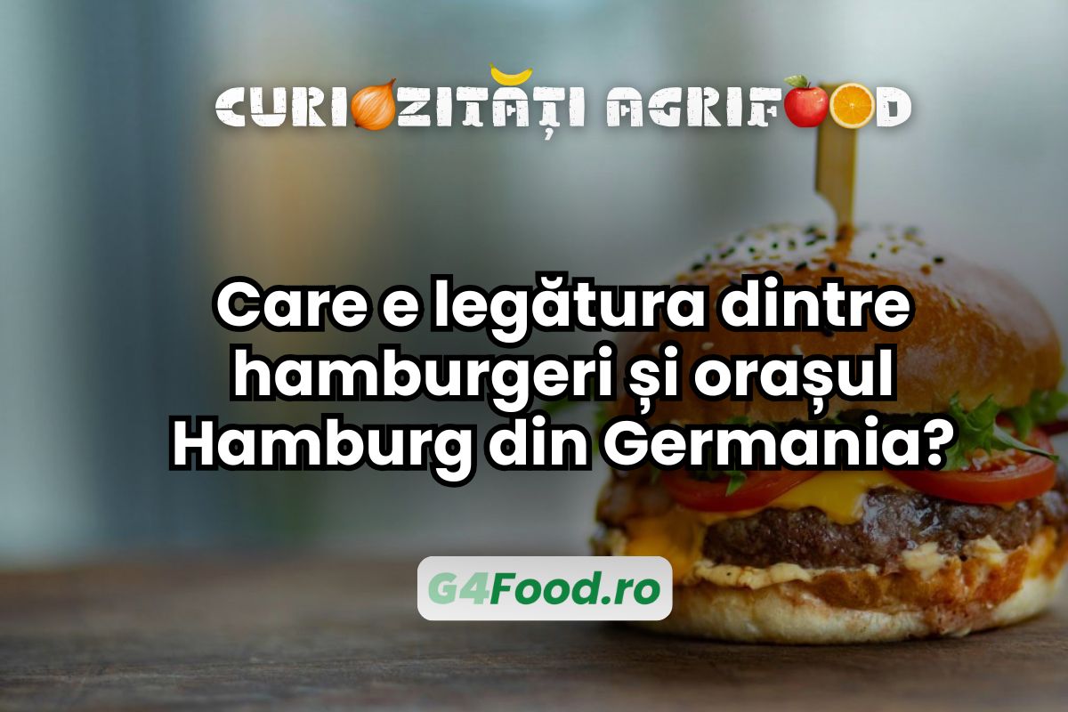 hamburgerii-s-au-nascut-la-hamburg-sau-nu-de-unde-le-vine-numele