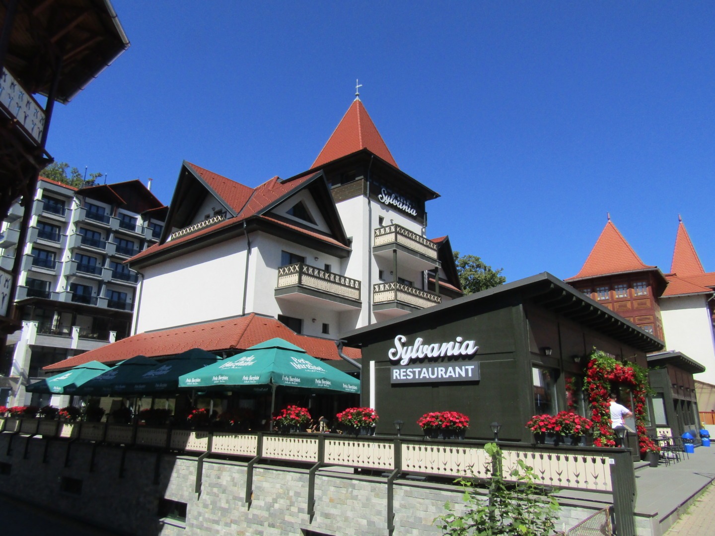 Proiectul de succes al Szuszannei Peter