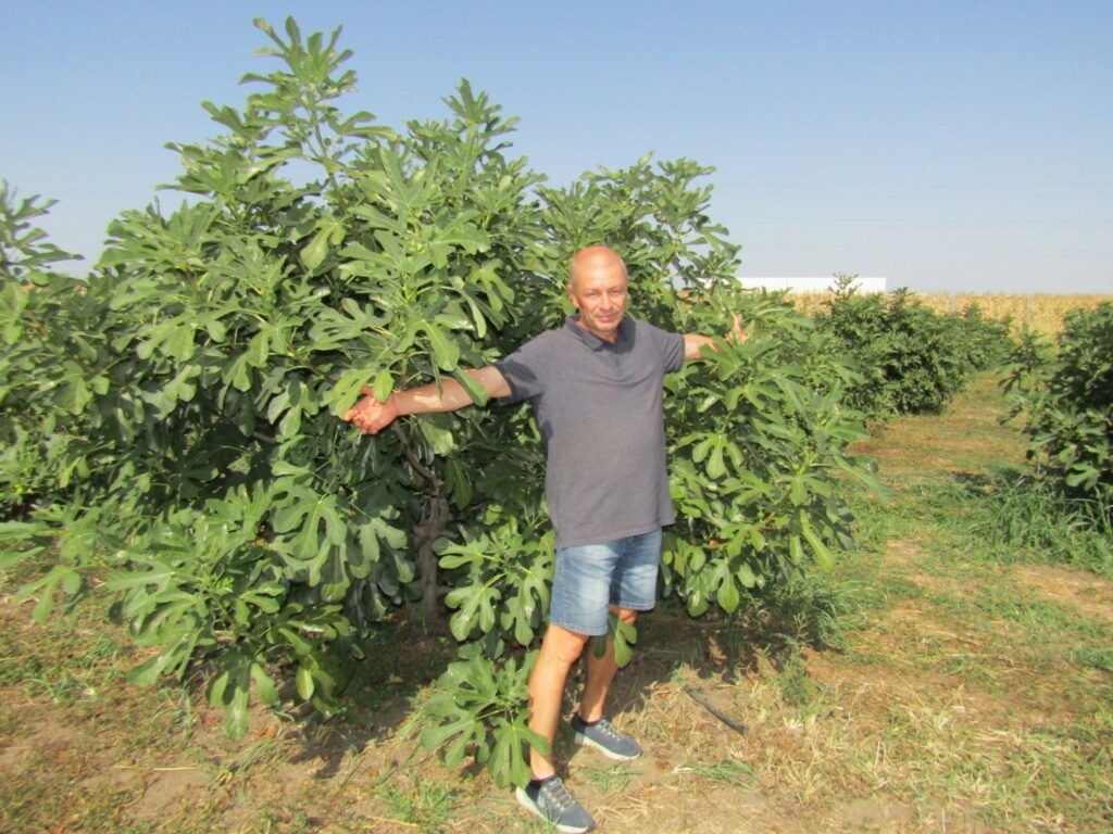 Smochini de Buzău, afacere și atracție turistică