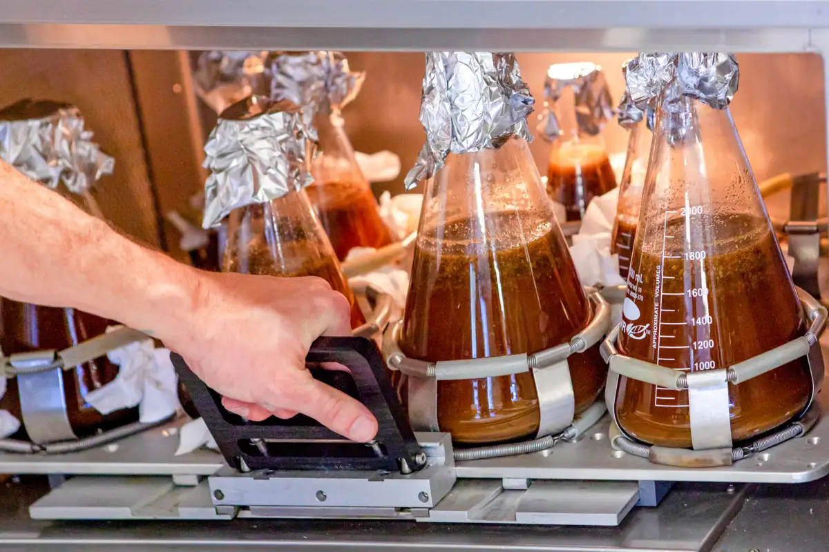 14-startup-uri-care-fac-alternative-fara-cacao-si-pe-baza-de-celule-pentru-a-ne-salva-pofta-de-dulce