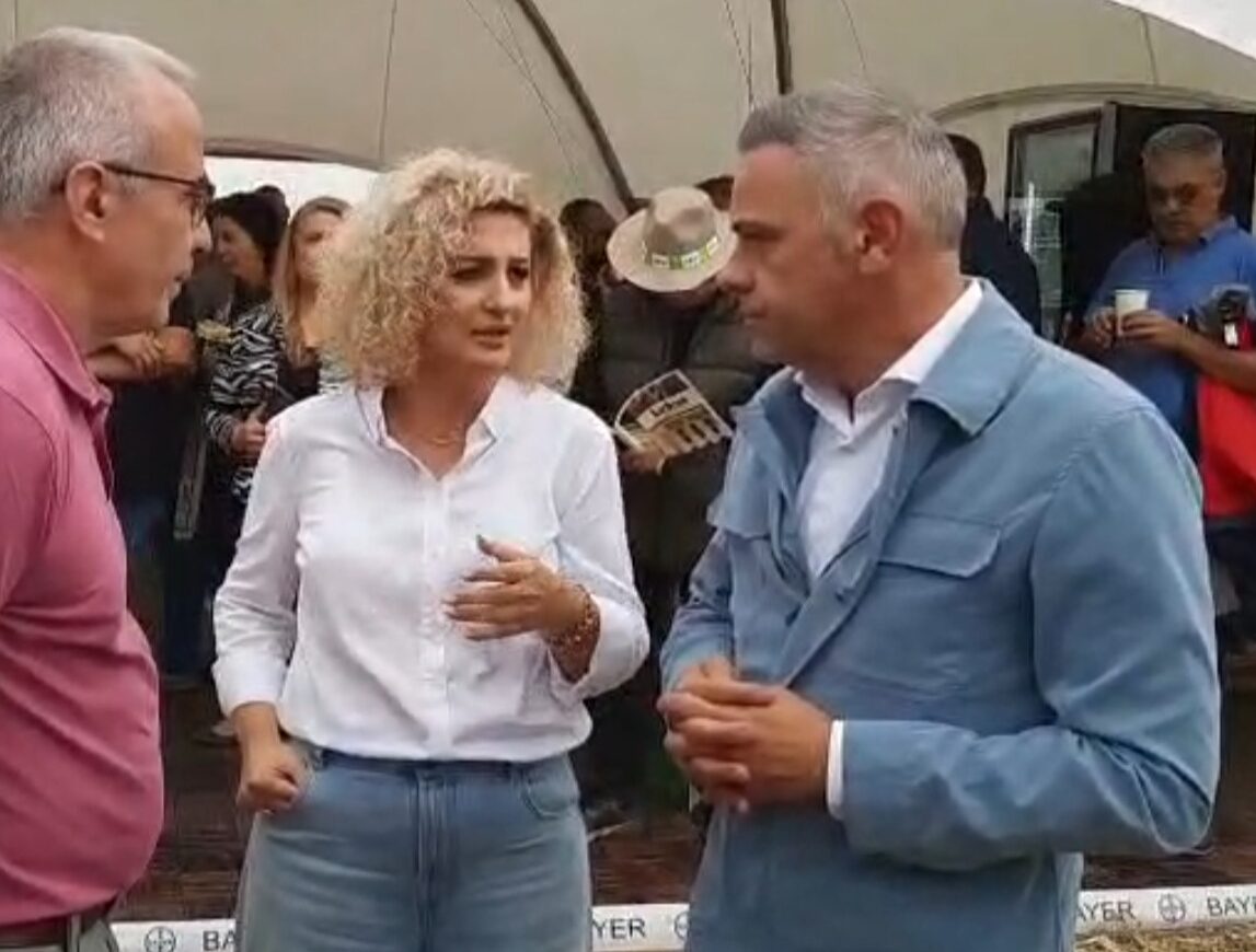 summitul porumbului florin barbu