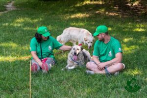 borcan, zacuscă, donații