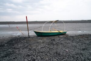 Delta Neajlovului, Comana, Giurgiu