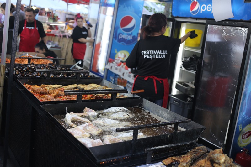 festivalul-pestelui-braila-pe-faleza-in-acest-weekend-horia-varlan