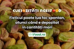 Fisticul poate lua foc spontan