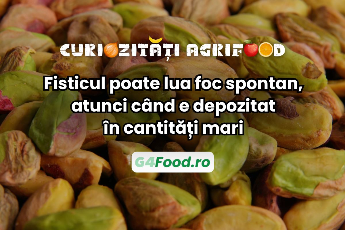 Fisticul poate lua foc spontan