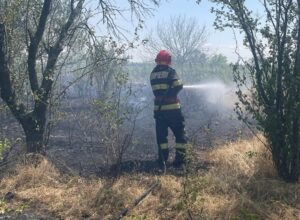 Incendiu la o livadă din Teleorman