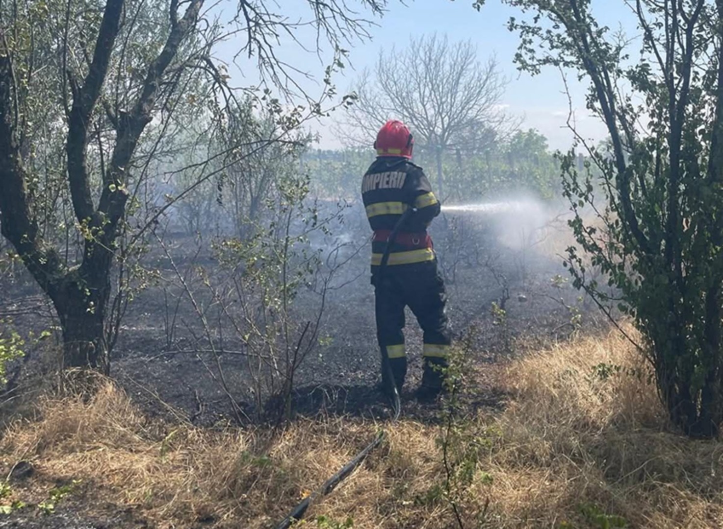 Incendiu la o livadă din Teleorman
