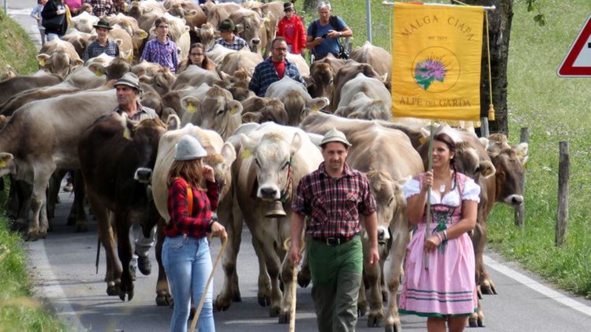 sarbatoarea transhumantei in nordul Italiei
