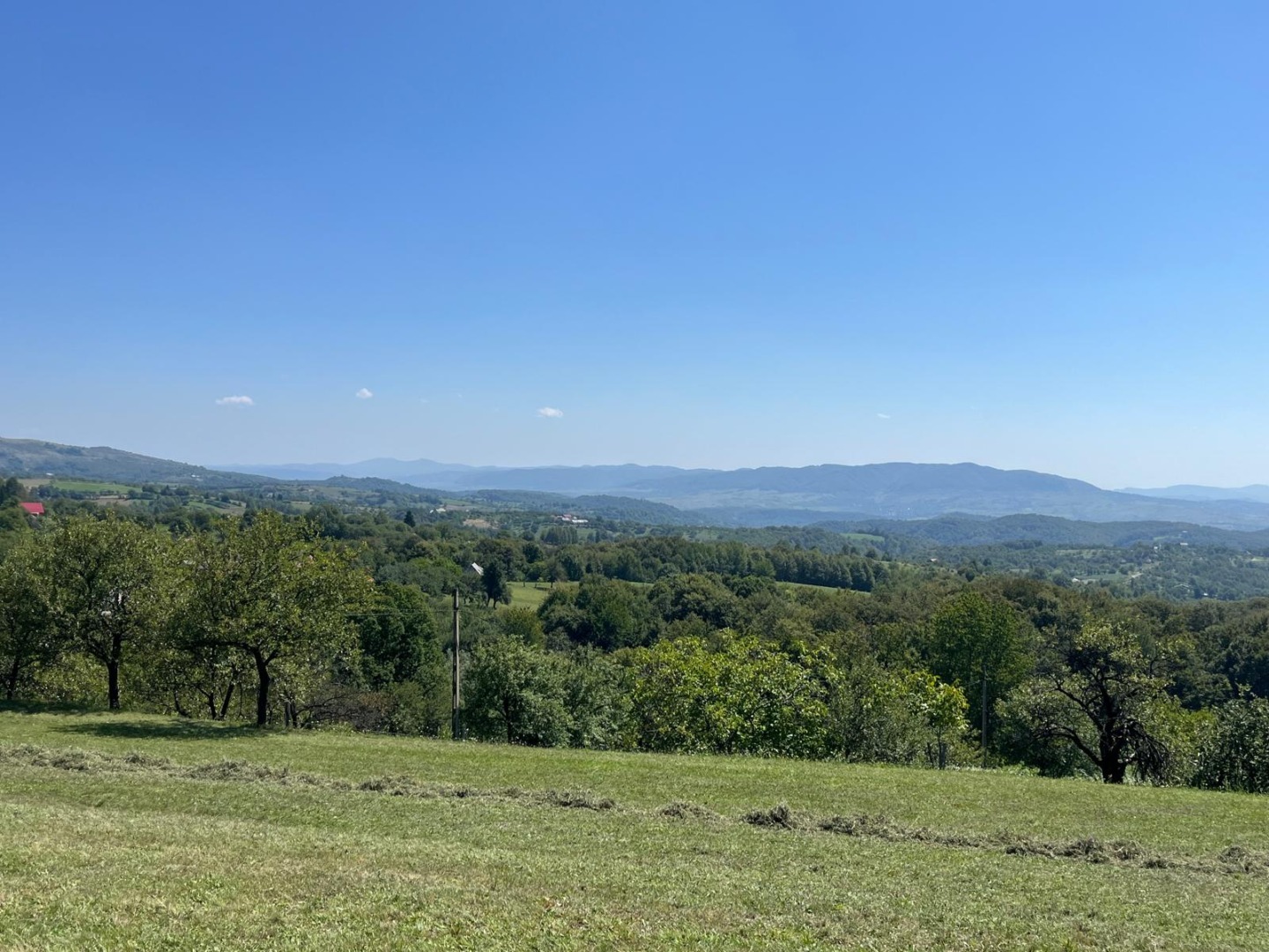 Peisaj Preluca Nouă