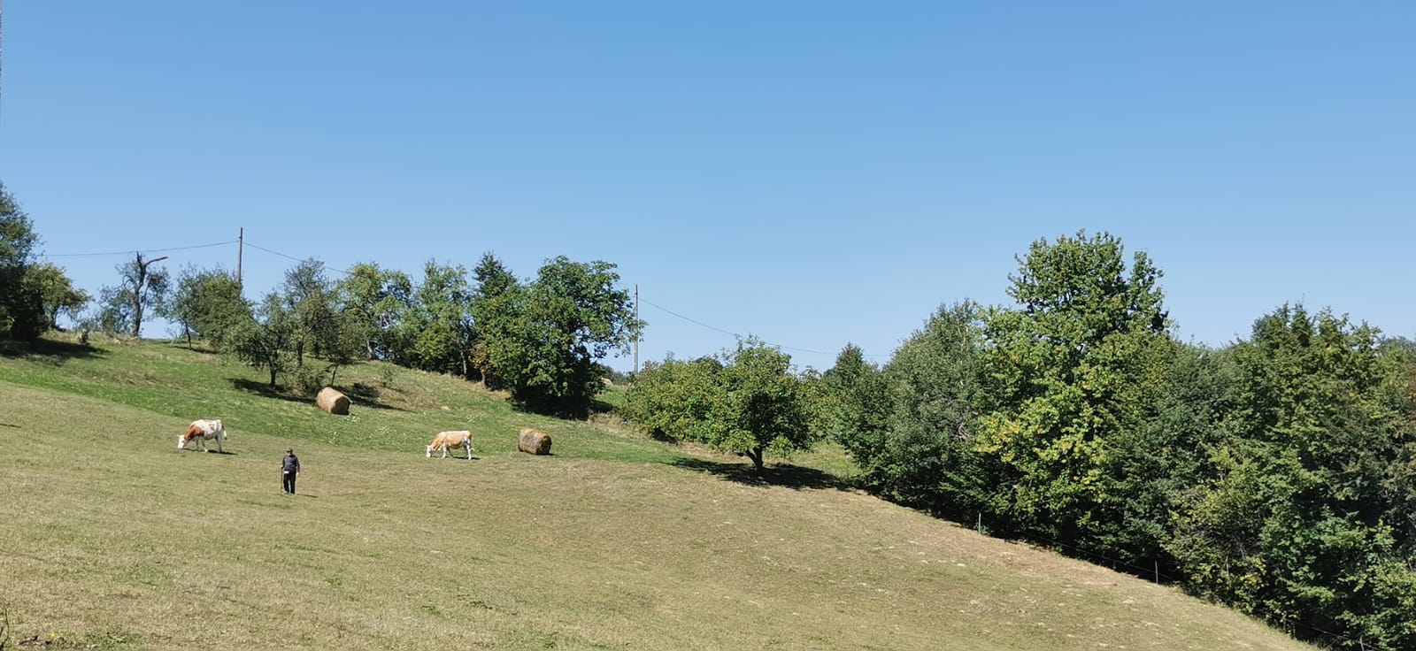 Preluca Nouă din Maramureș