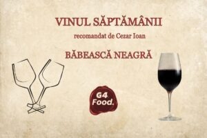 pt SITE - 2025-09-24T142741.078