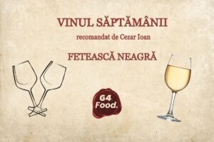 vinul saptamanii feteasca neagra