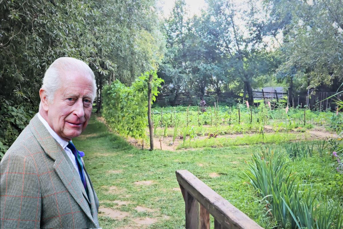 Grădina rege Charles din Viscri