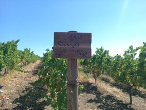 vie pe insula Bozcaada