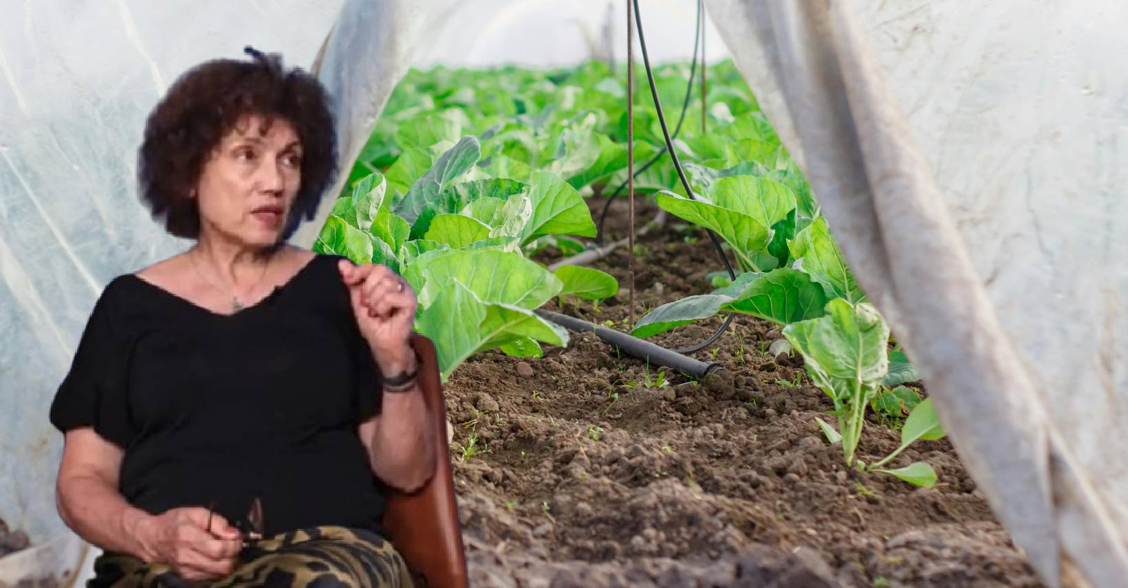 inovații agricultură plante protecție irigații soluri