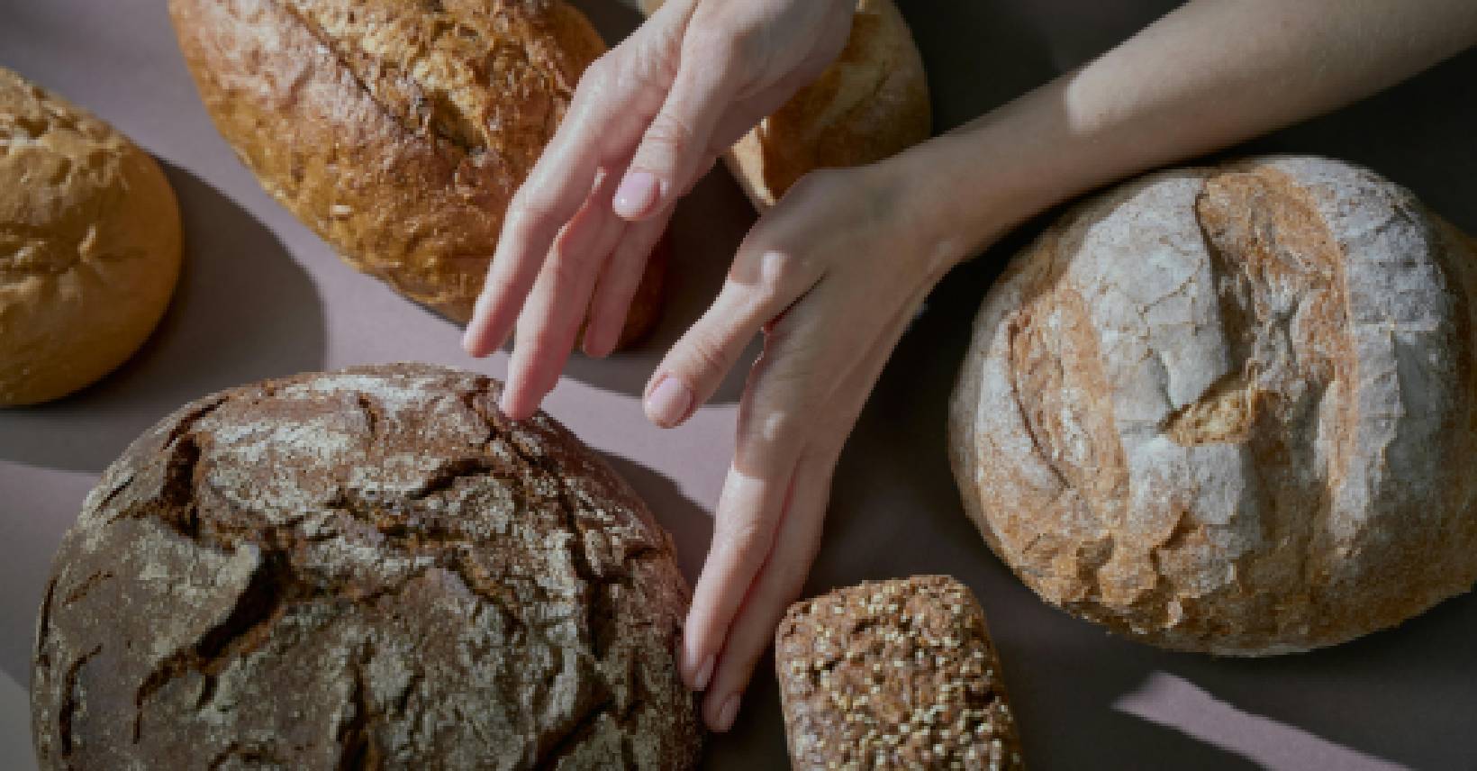 ziua internationala a painii brutarie artizanala brutarie moderna tradiție busienss