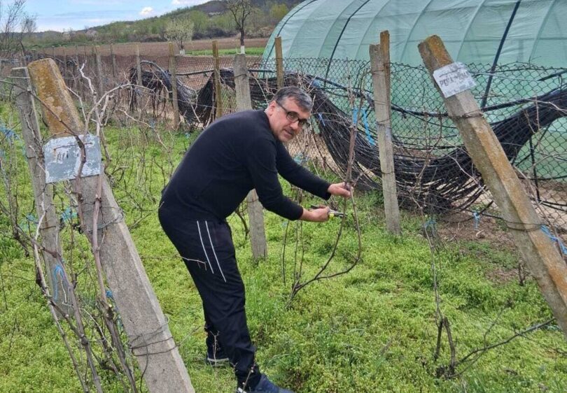 Dr. ing. Sergiu Gorjan spune ce ar trebui să facem în vie