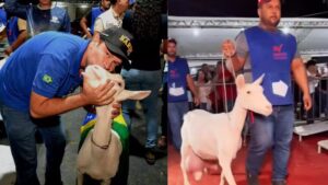 capre braziliene campioane