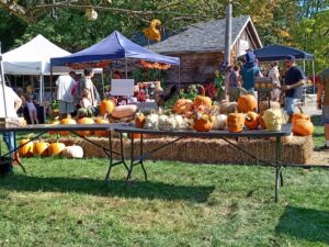 targ de dovleci in Canada