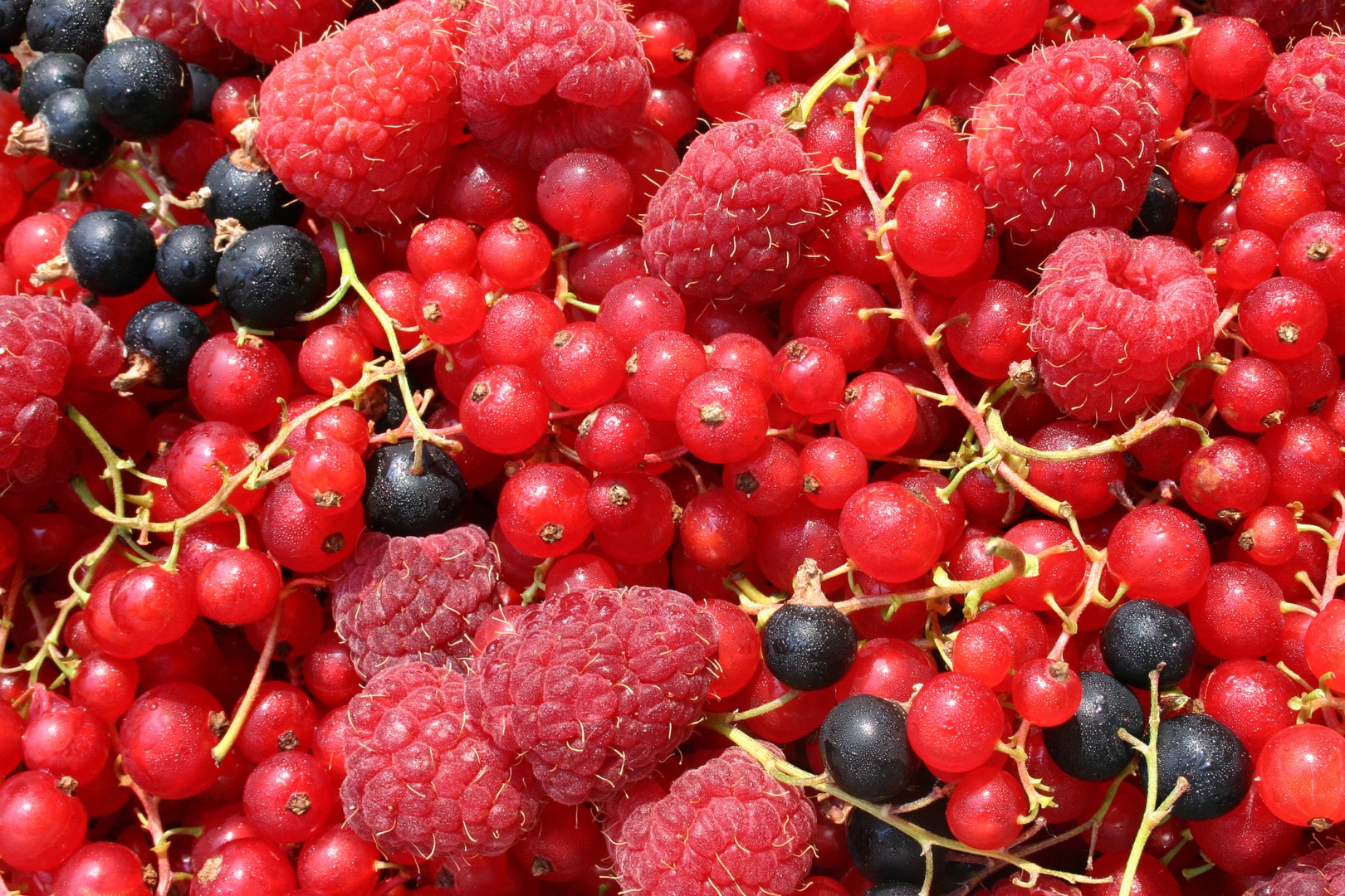 Fructele de pădure sunt gustarea ideală pentru a slăbi