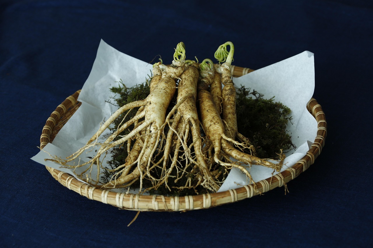 cum trebuie consumata radacina de ginseng