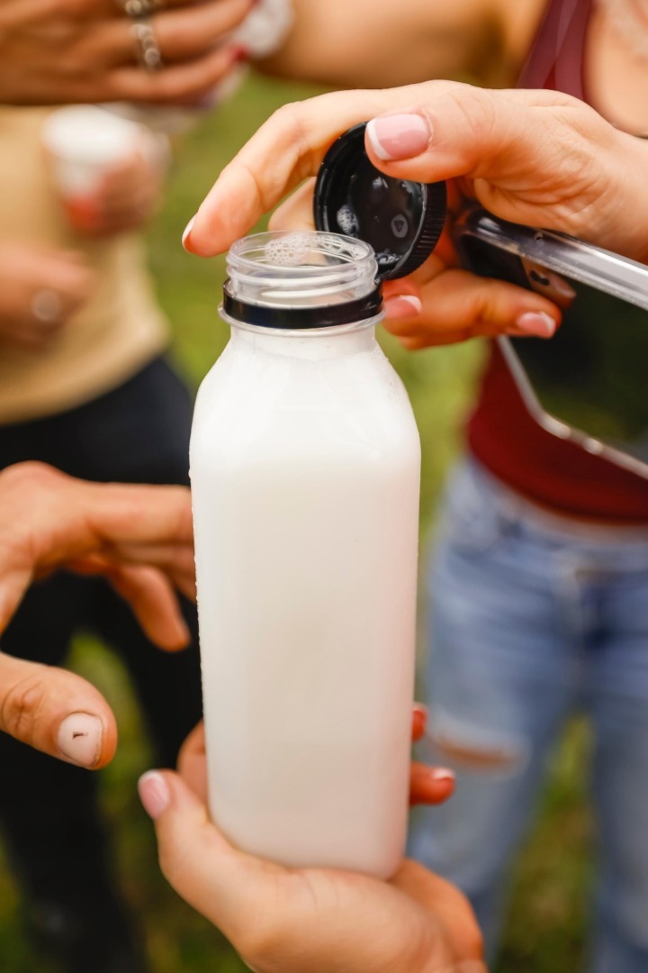 Cătălin Moga, ferma de magarite, lapte, maramures