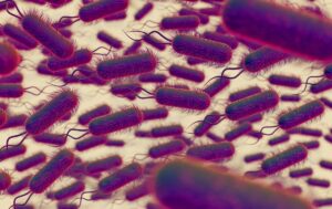 șase decese în SUA după consumul de alimente din supermarket infectate cu listeria