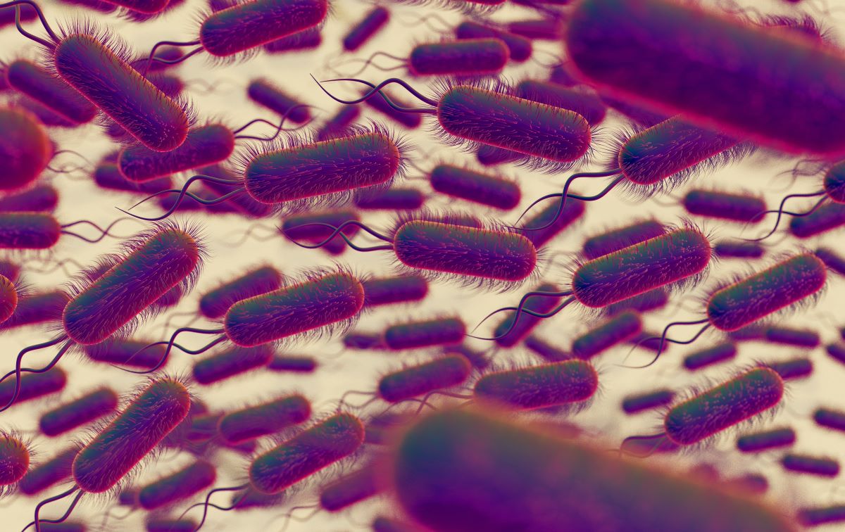 șase decese în SUA după consumul de alimente din supermarket infectate cu listeria