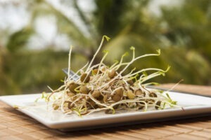 Microplantele, cele mai sănătoase plante