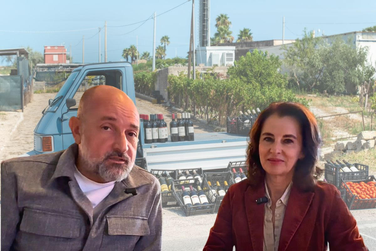 piata-vinul-contrafacut