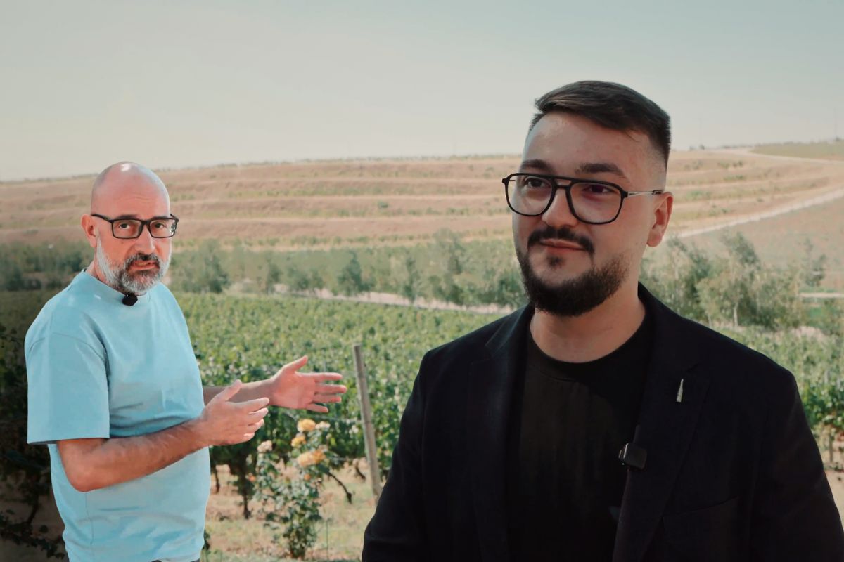 VIDEO | David Sandu (Crama de Piatră): „Fenomenul vinului nefiscalizat distorsionează piața”