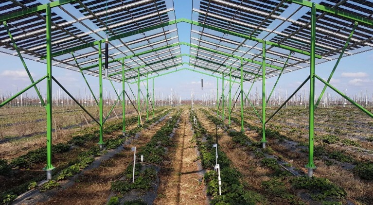 Agrivoltaic