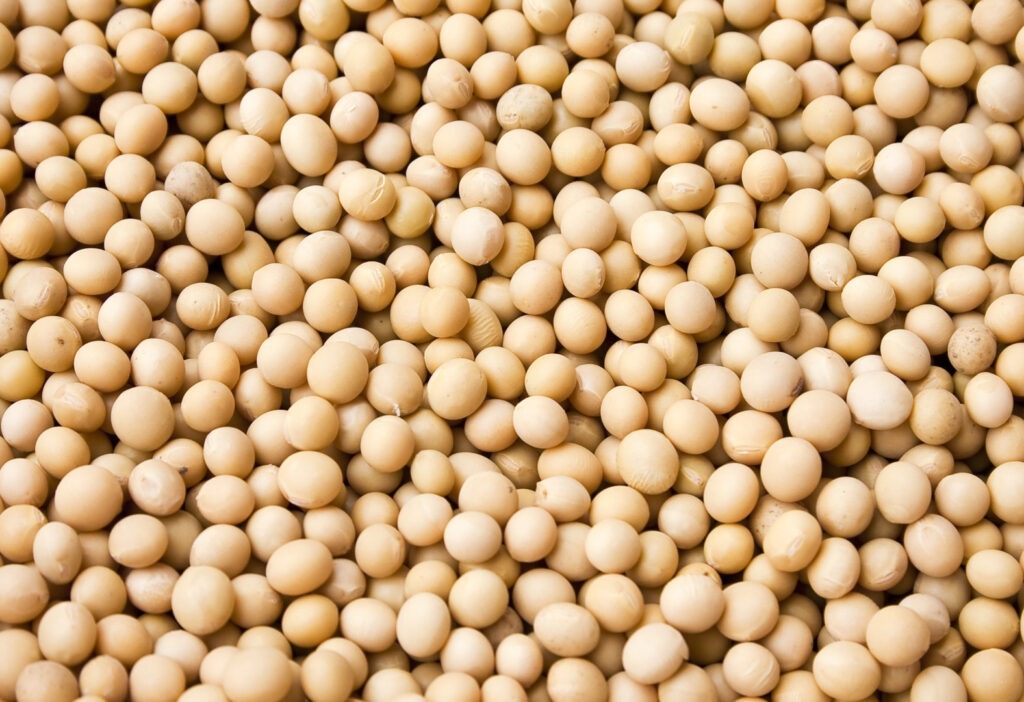 Prețul boabelor de soia a crescut în SUA
