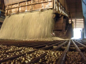 Importurile de soia ucraineană nu sunt chiar atât de mari